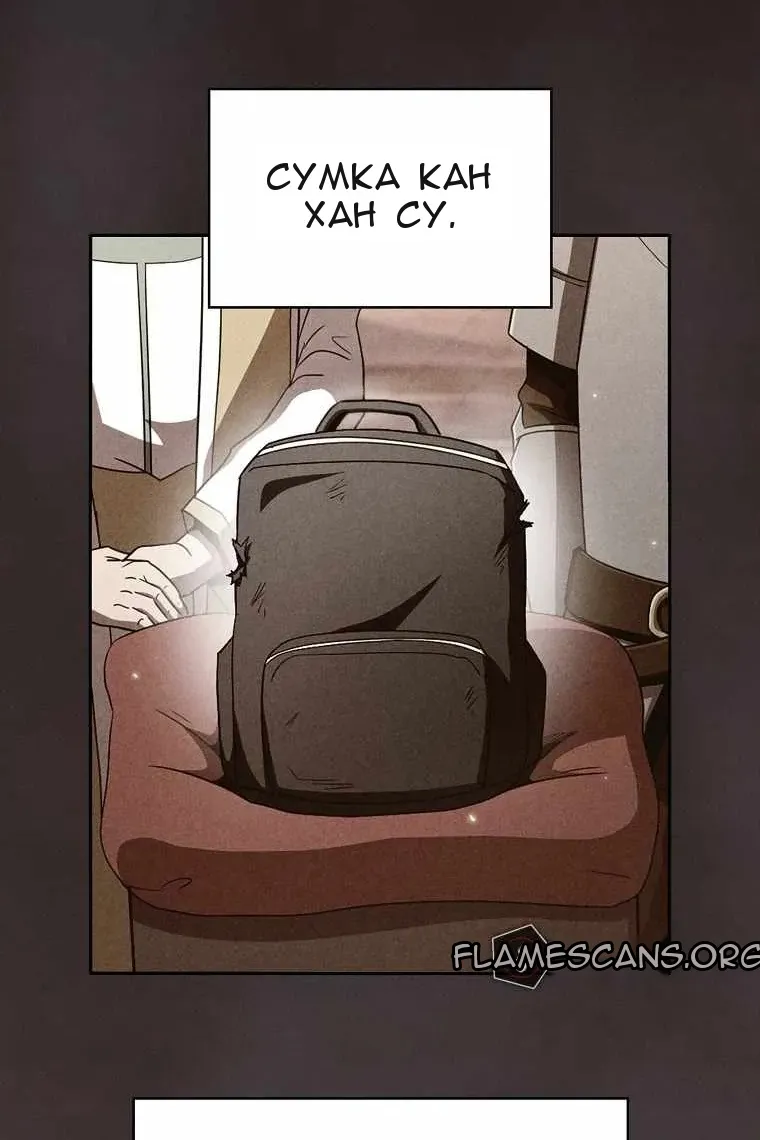Сторінка 29