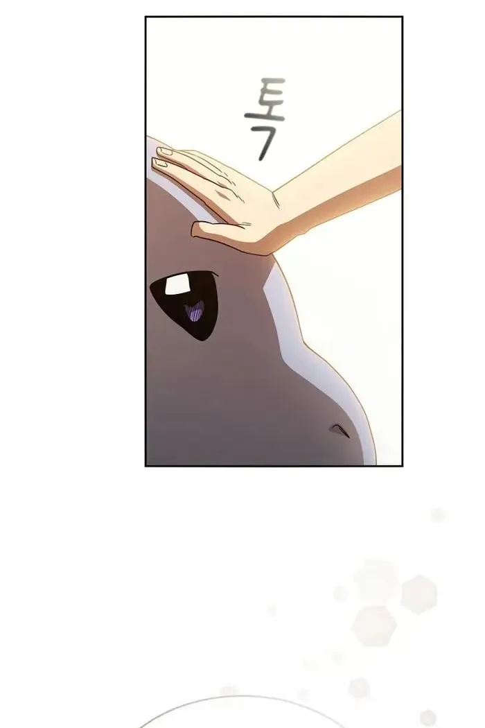 Сторінка 8