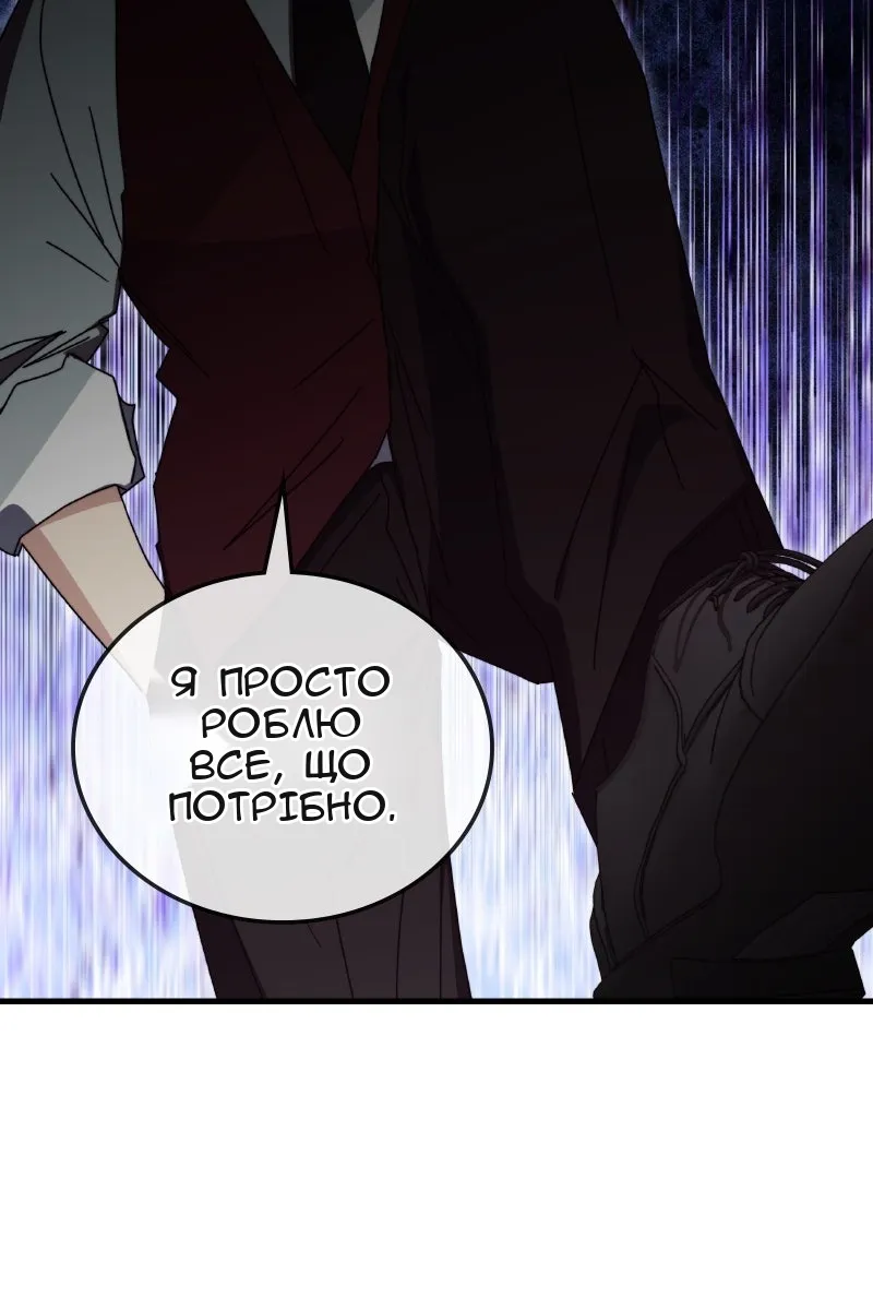 Сторінка 17