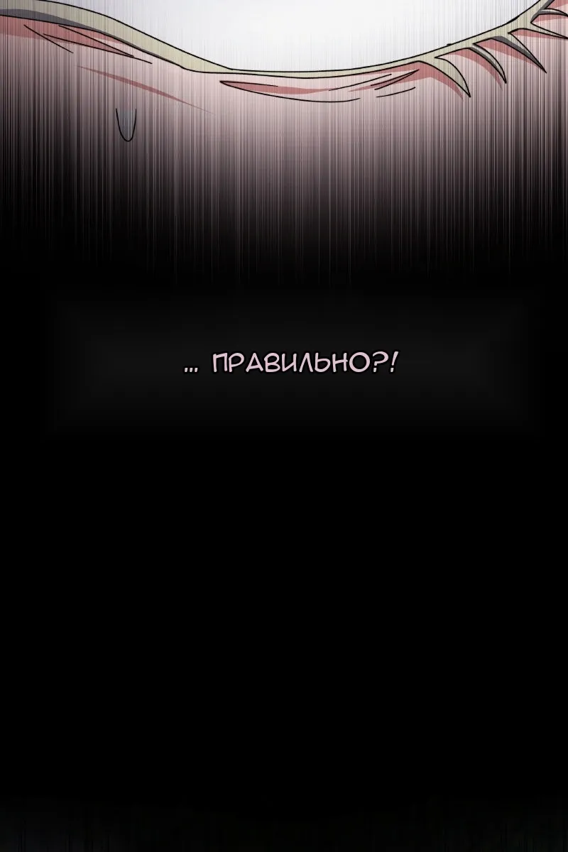 Сторінка 16