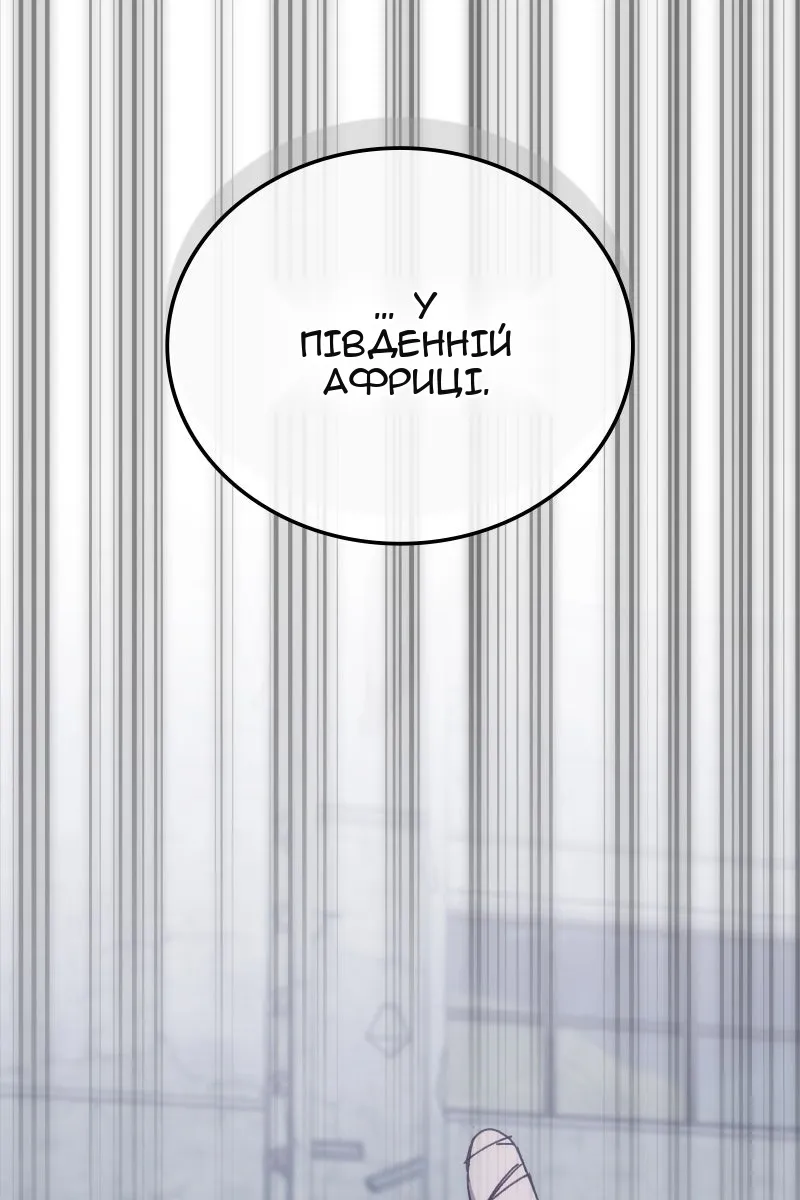 Сторінка 113