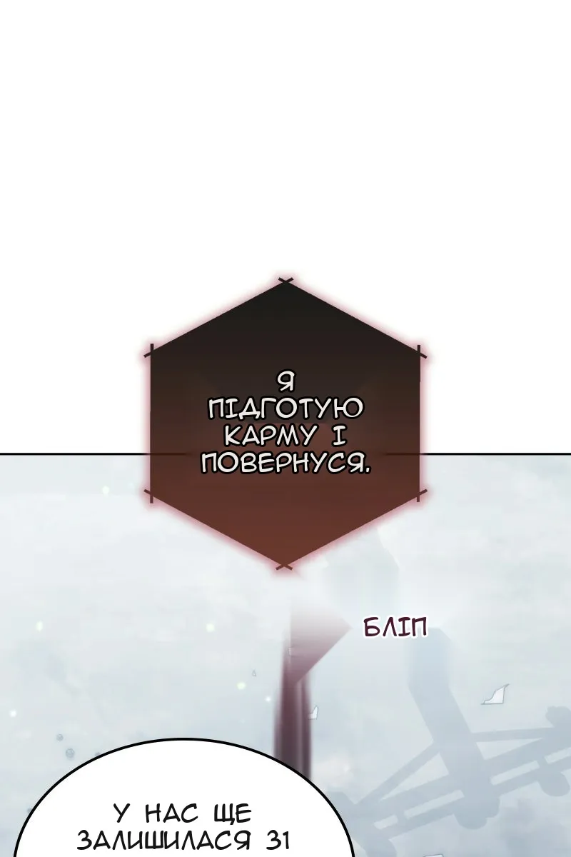 Сторінка 31