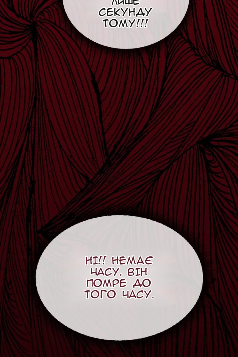 Сторінка 51