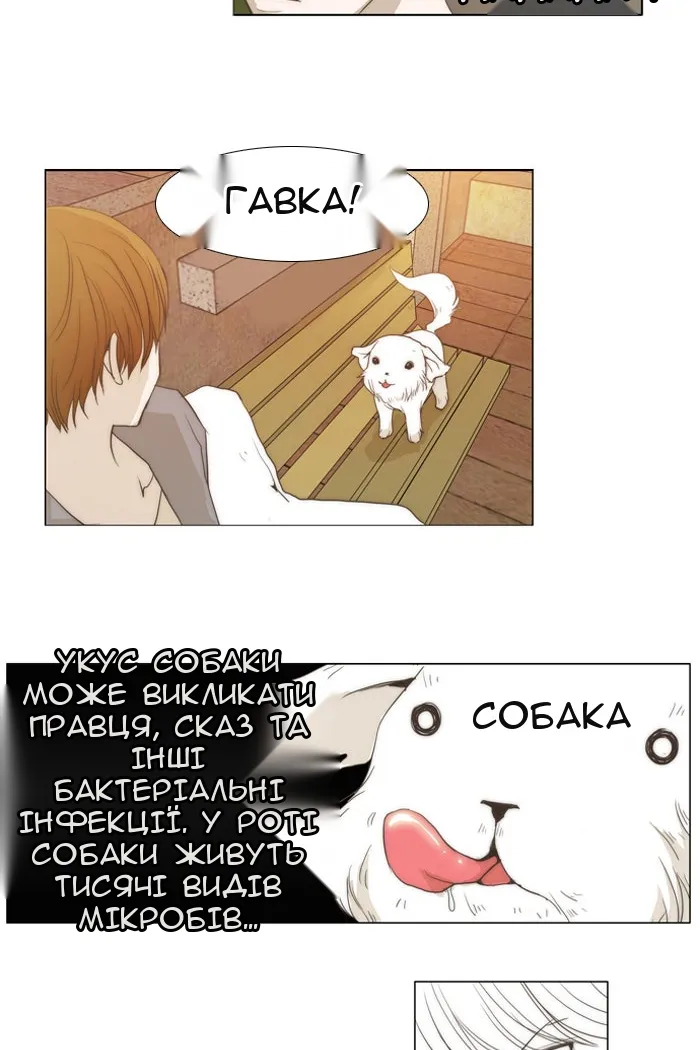 Сторінка 17
