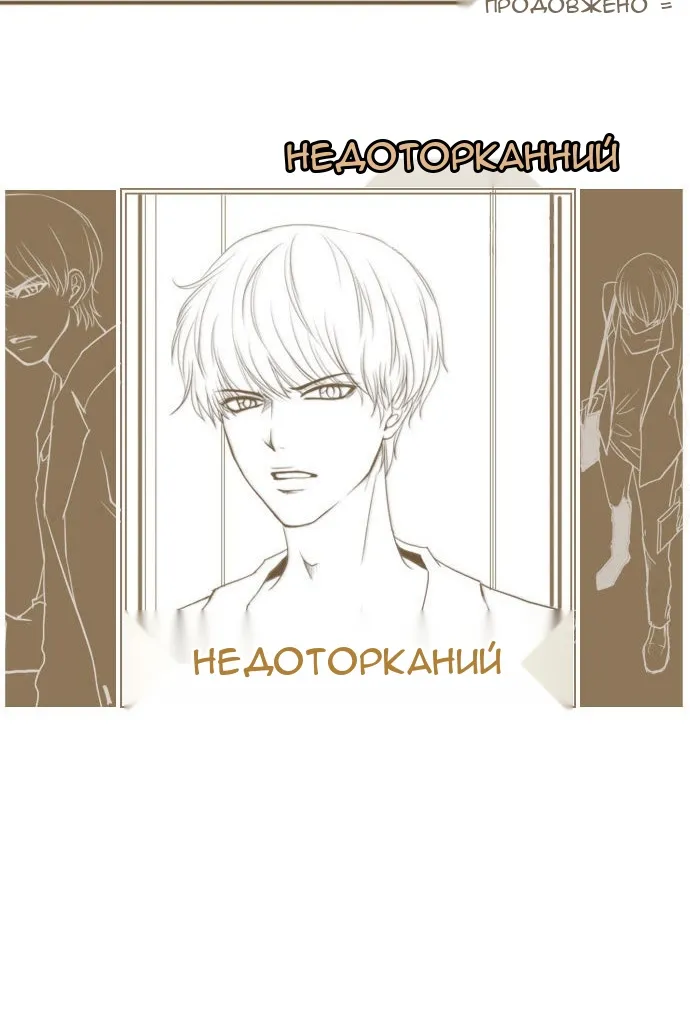 Сторінка 31