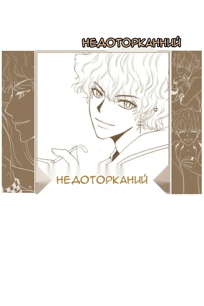 Сторінка 29
