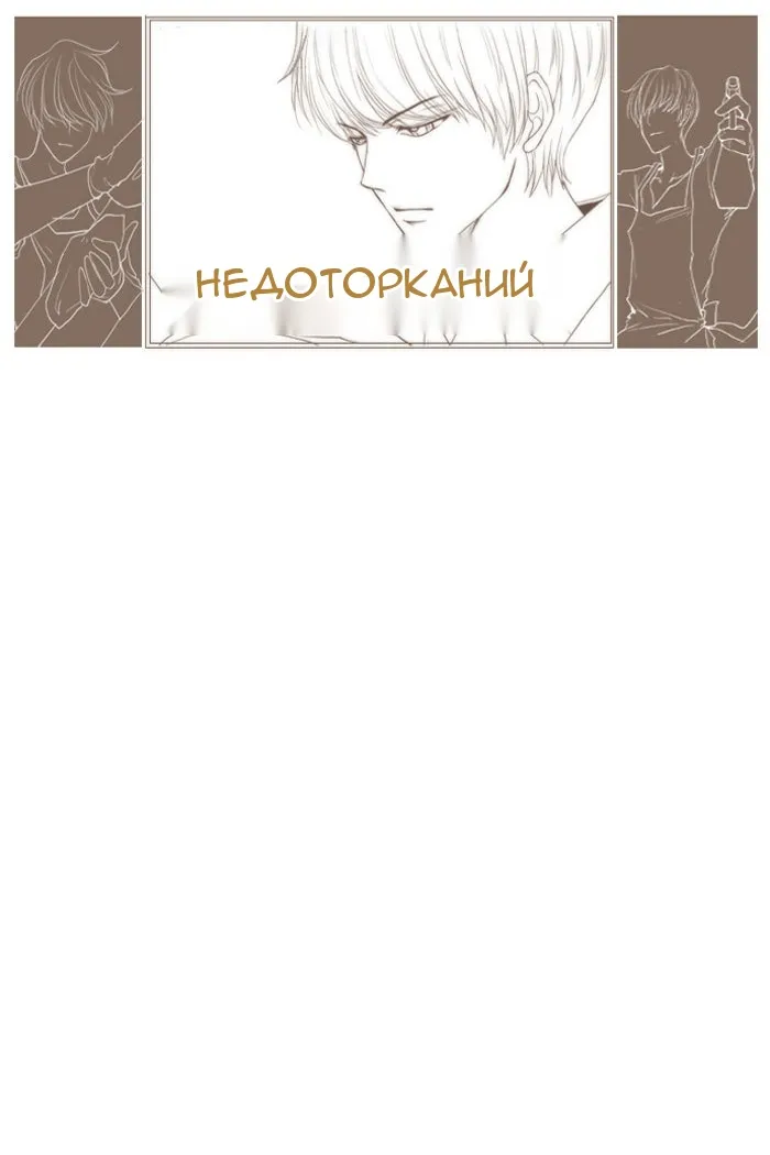 Сторінка 31