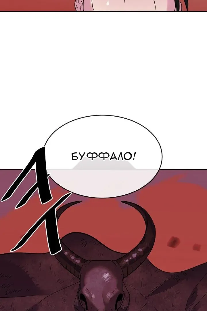 Сторінка 16