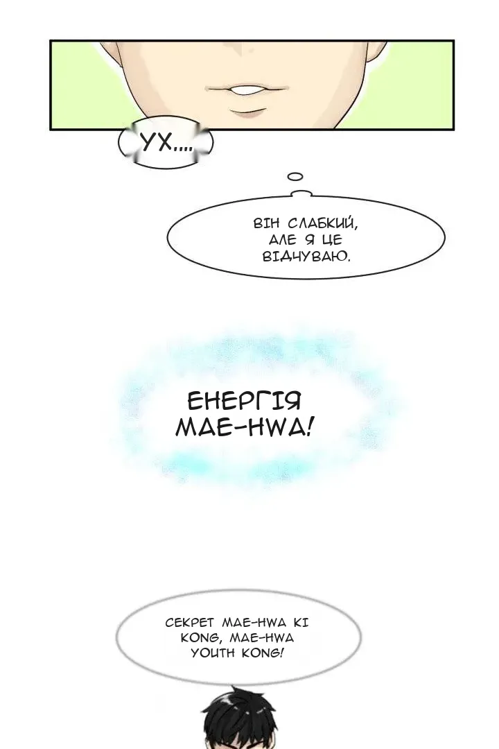 Сторінка 17