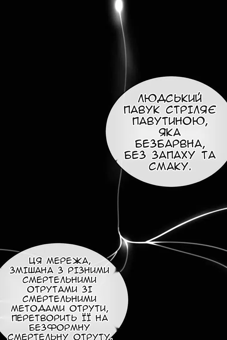 Сторінка 24