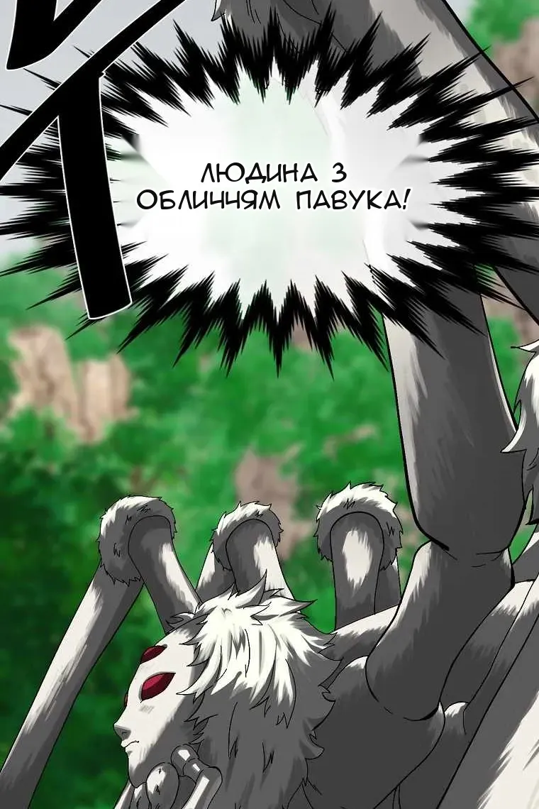 Сторінка 29