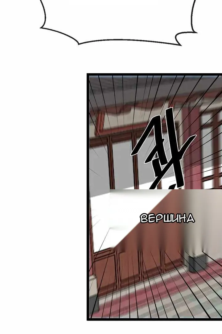Сторінка 29