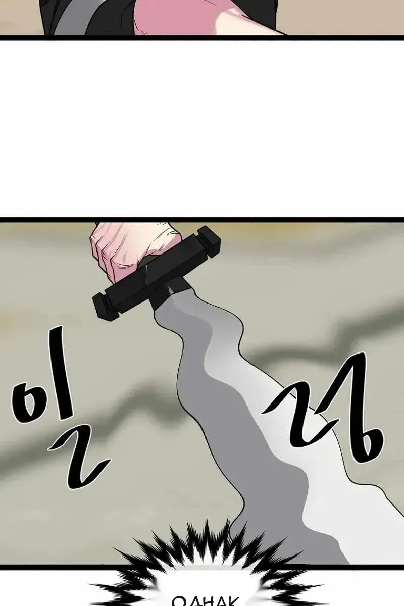 Сторінка 13