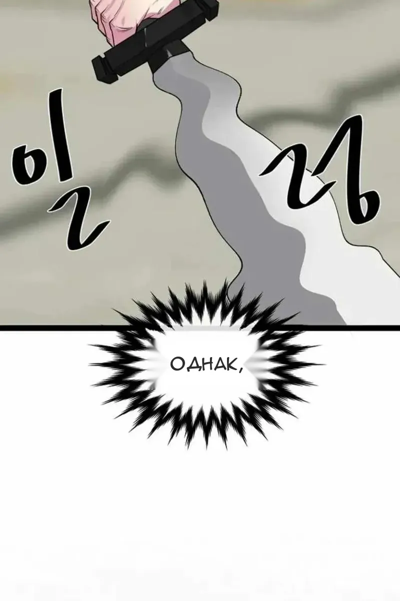 Сторінка 111