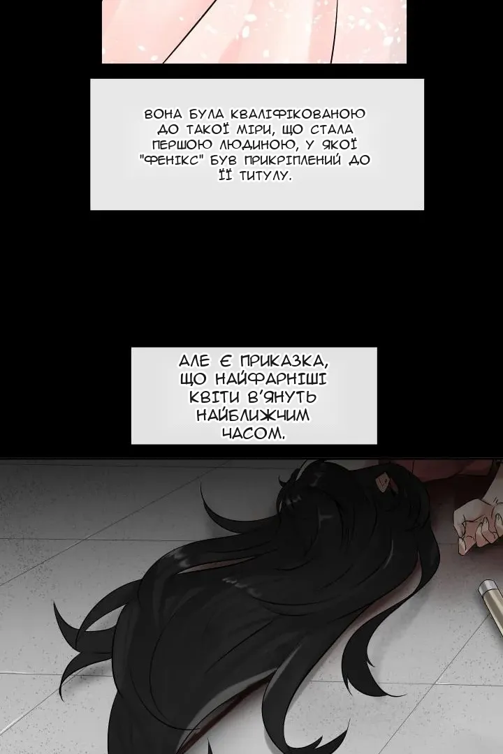 Сторінка 29