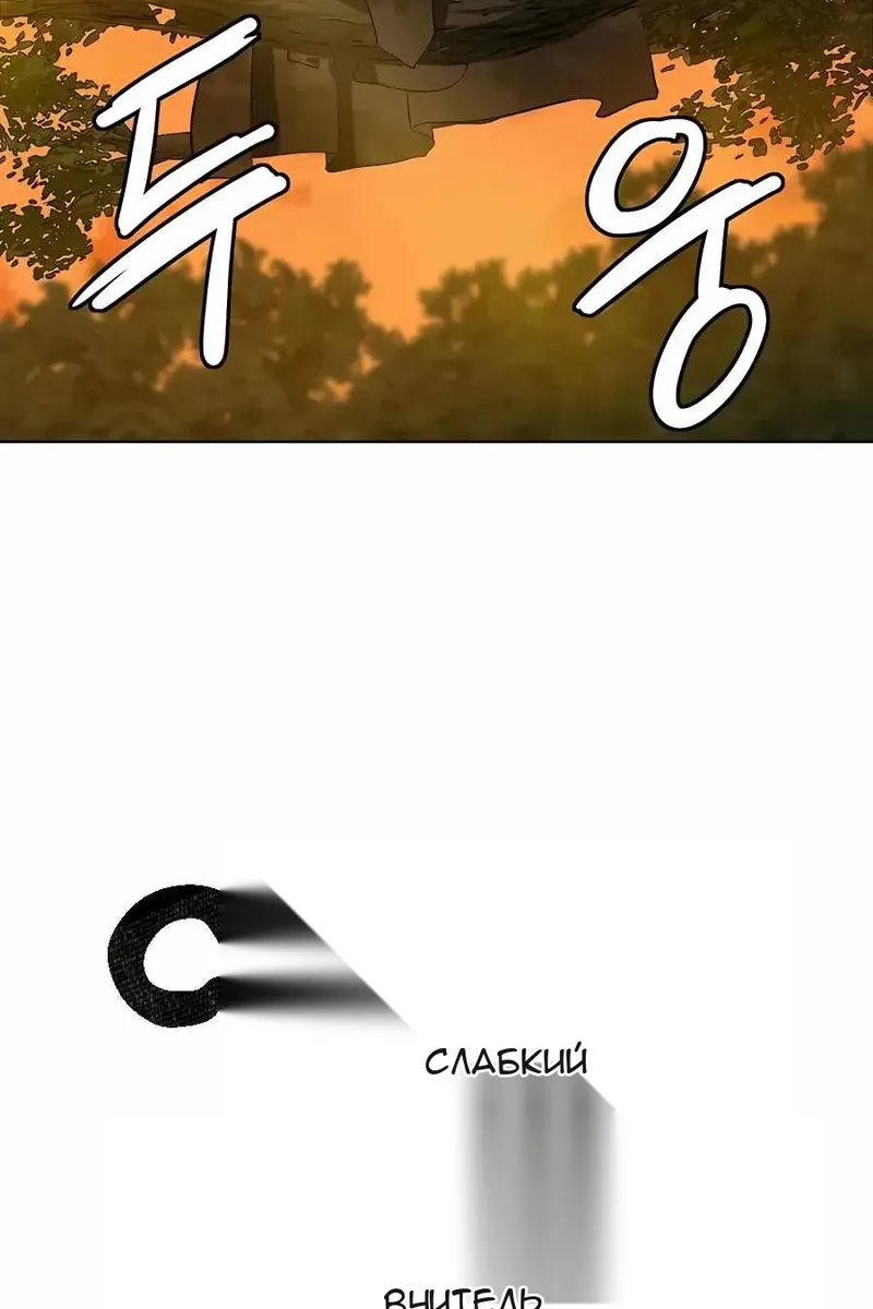 Сторінка 31