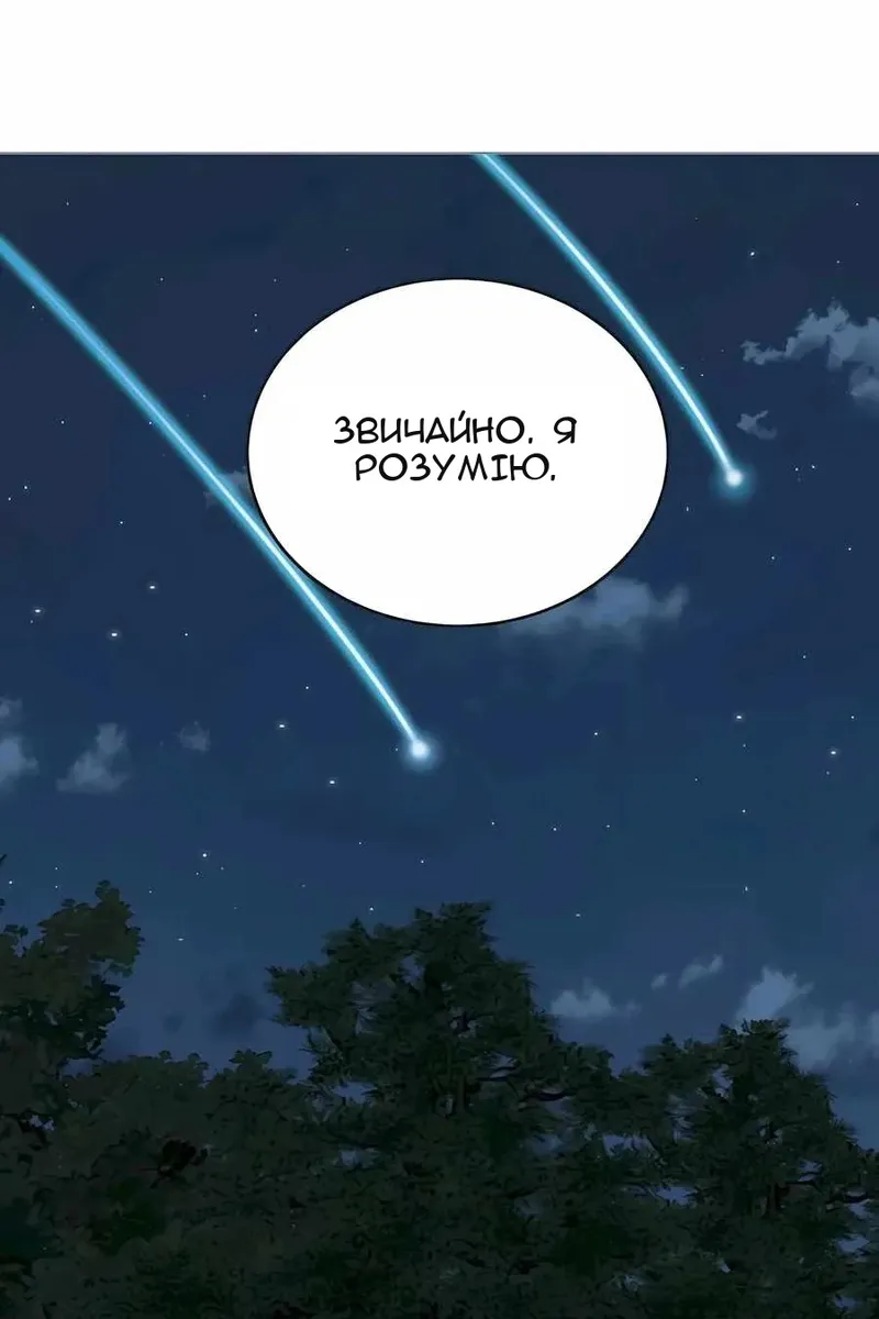 Сторінка 29