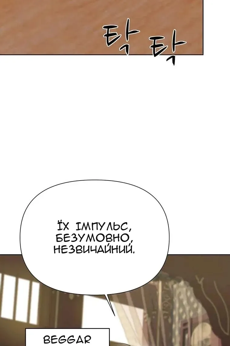 Сторінка 8