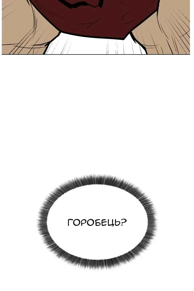 Сторінка 11