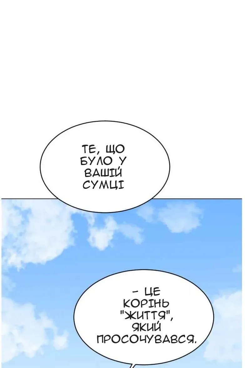 Сторінка 29