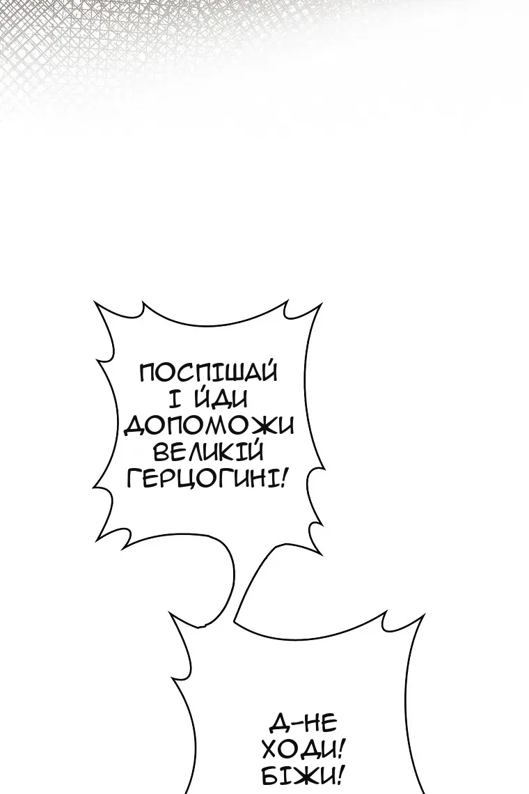 Сторінка 29