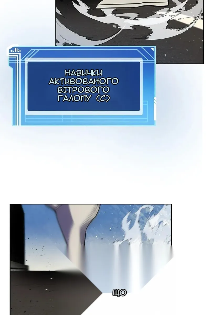 Сторінка 29