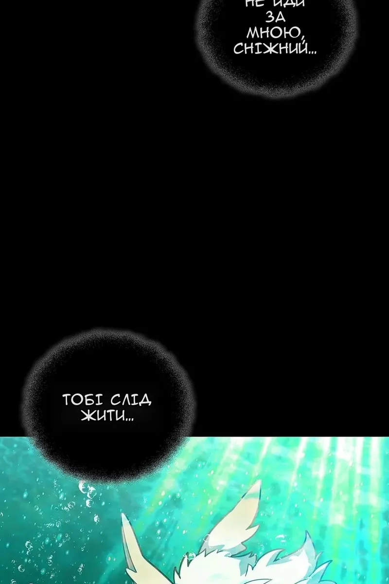 Сторінка 17