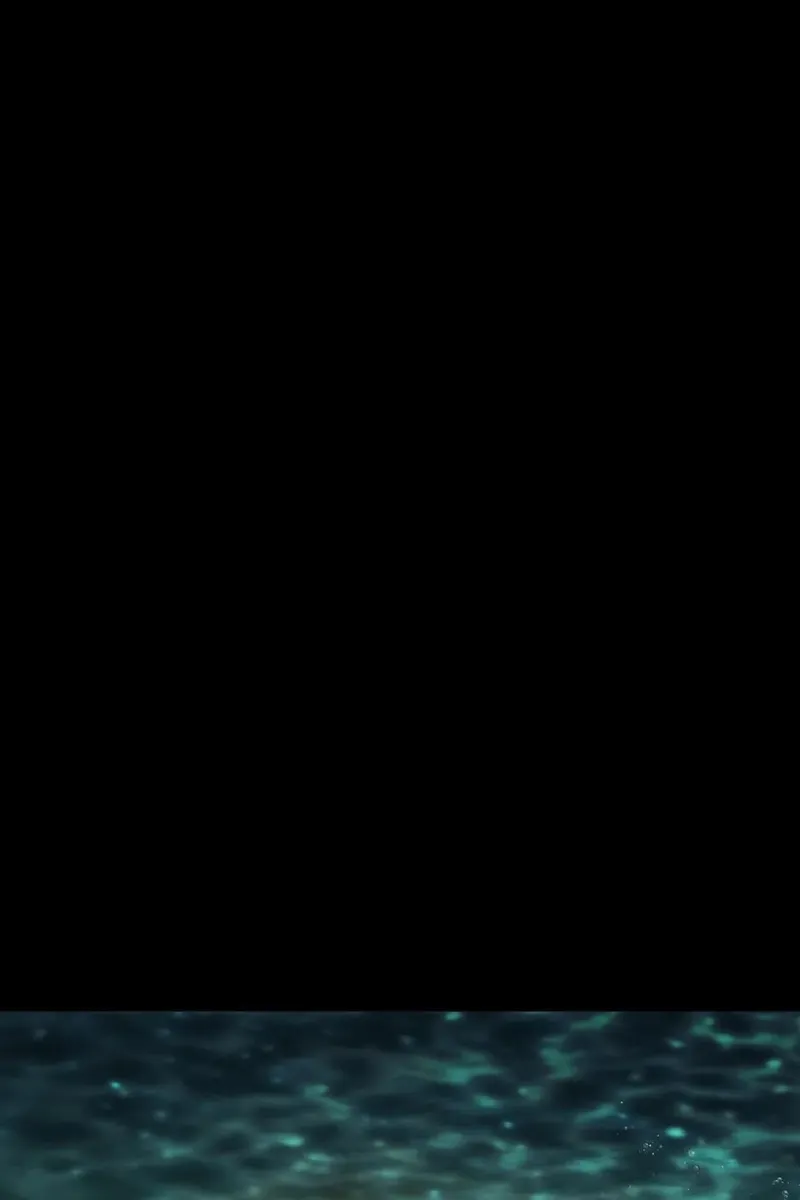 Сторінка 48
