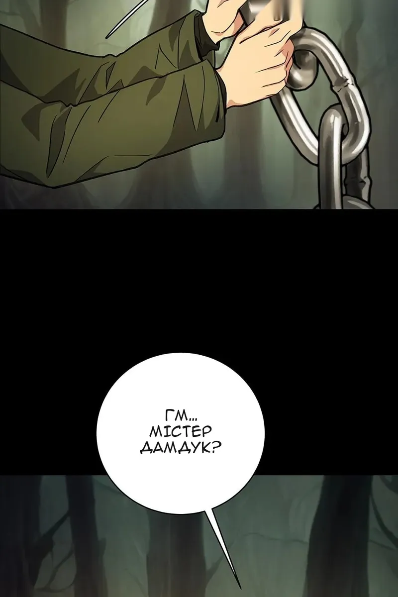 Сторінка 17