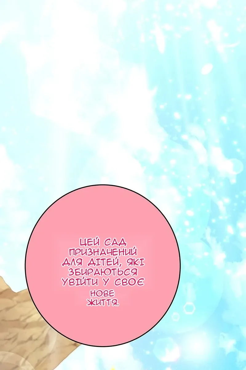 Сторінка 31