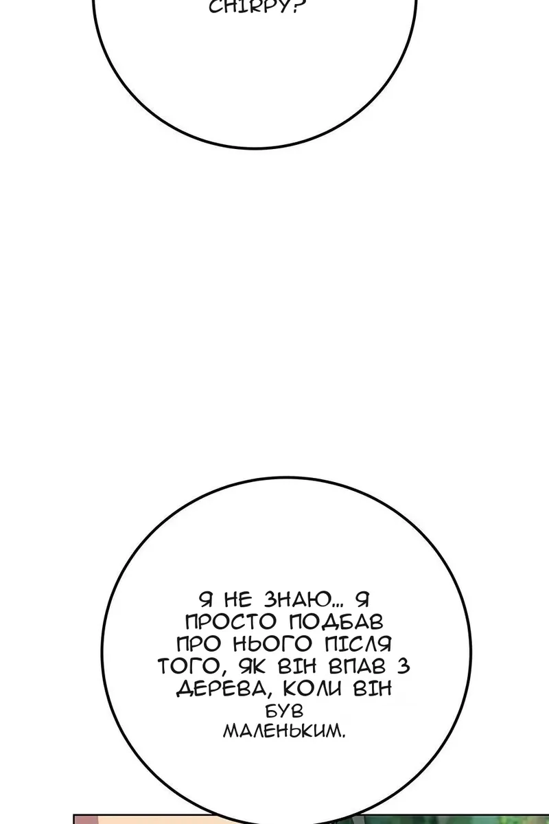 Сторінка 117