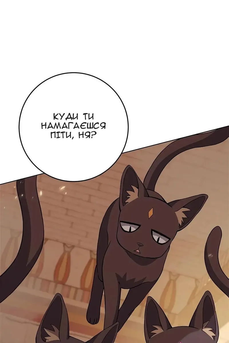 Сторінка 19