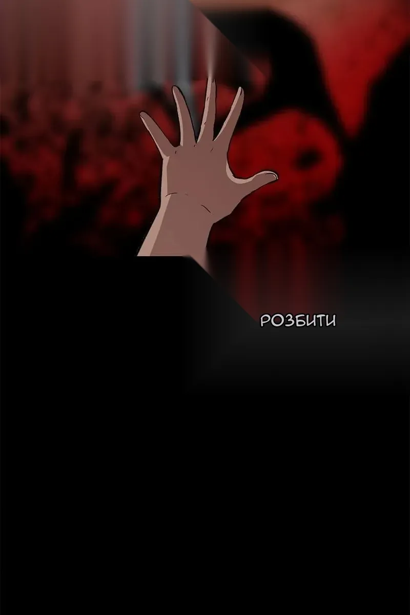 Сторінка 29