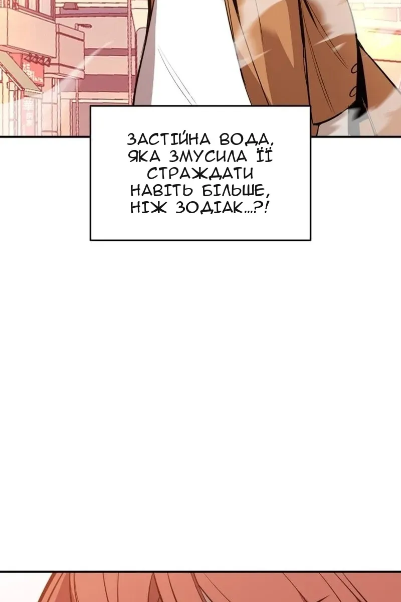 Сторінка 17