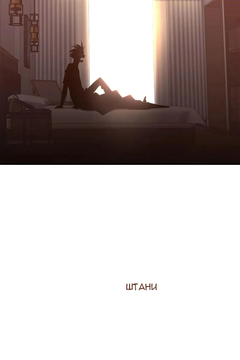Сторінка 29