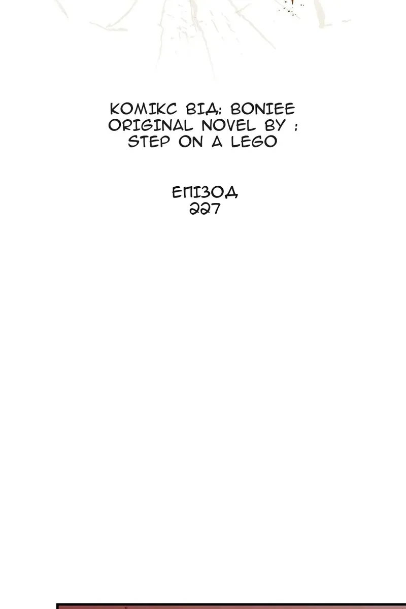 Сторінка 17