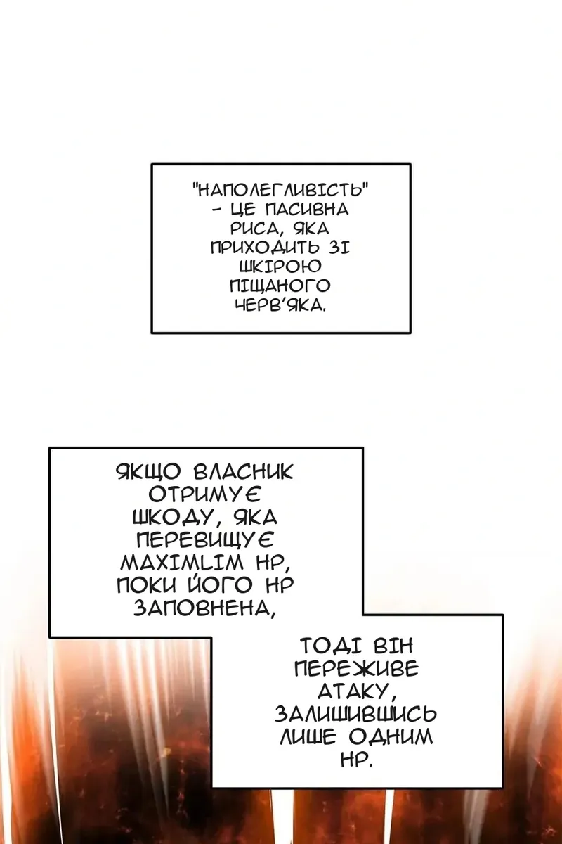 Сторінка 31