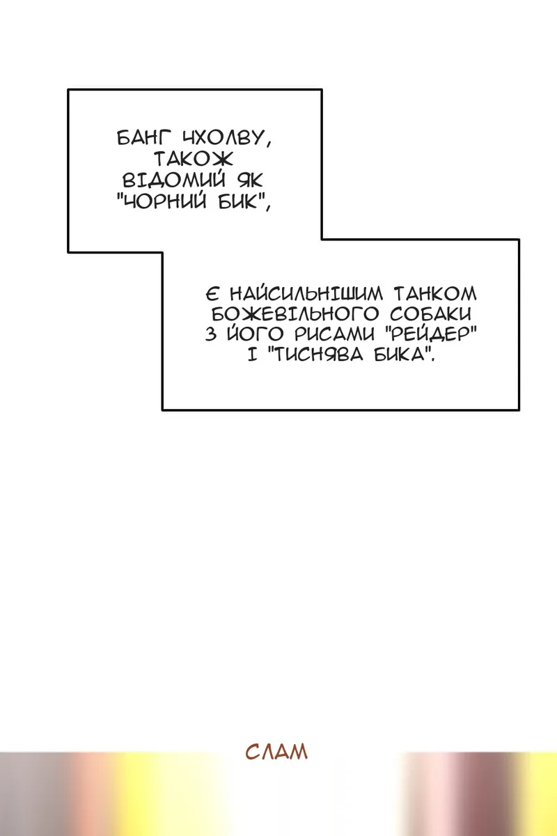 Сторінка 5