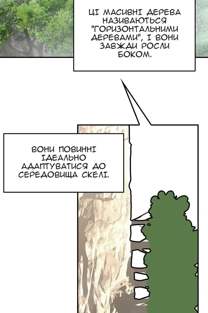 Сторінка 33
