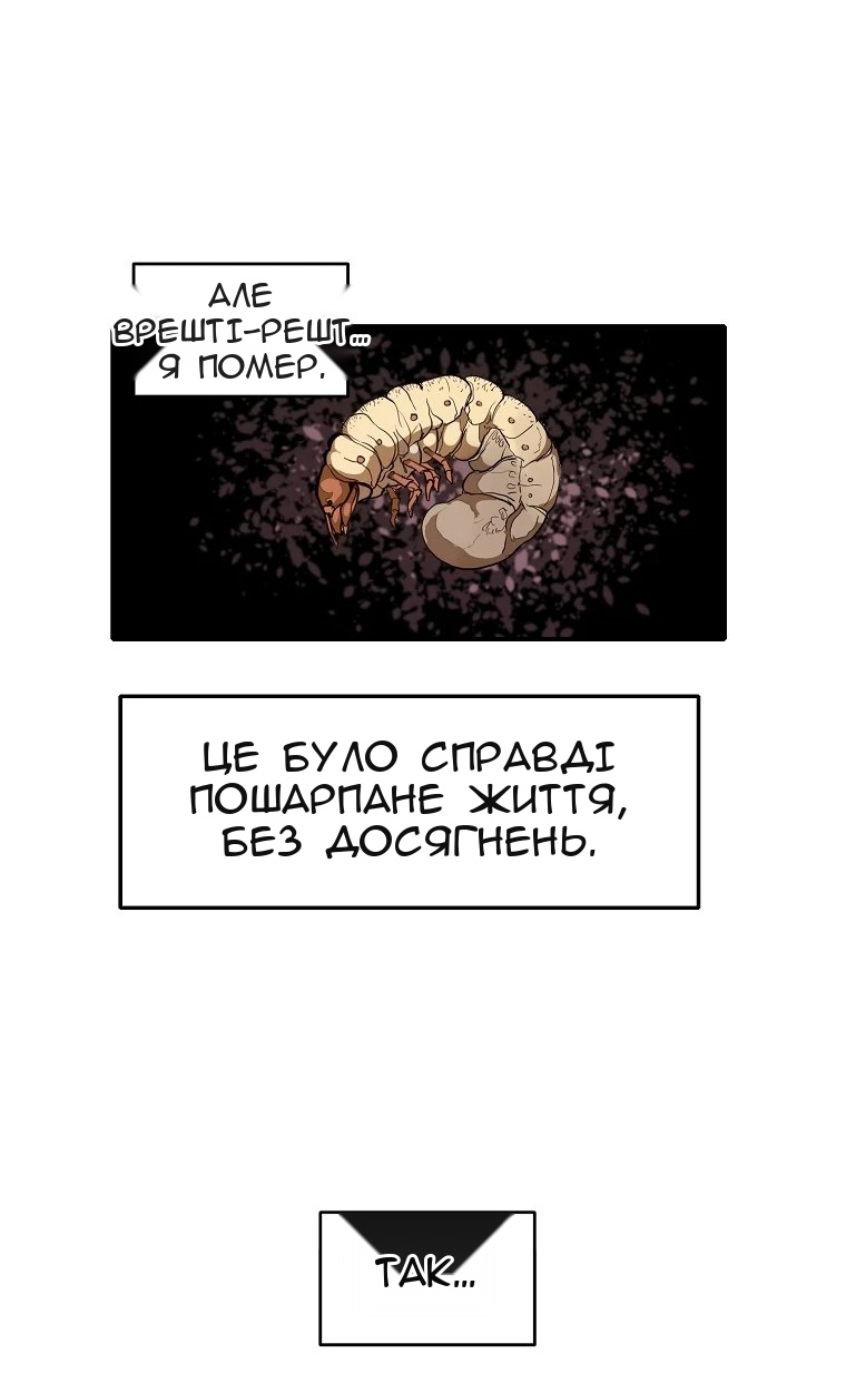 Сторінка 55