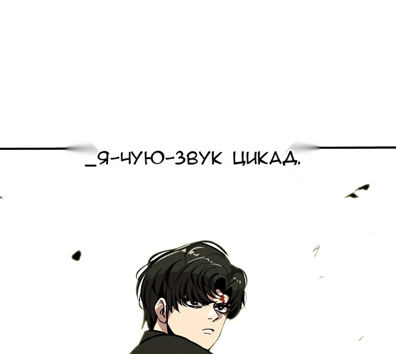 Сторінка 49