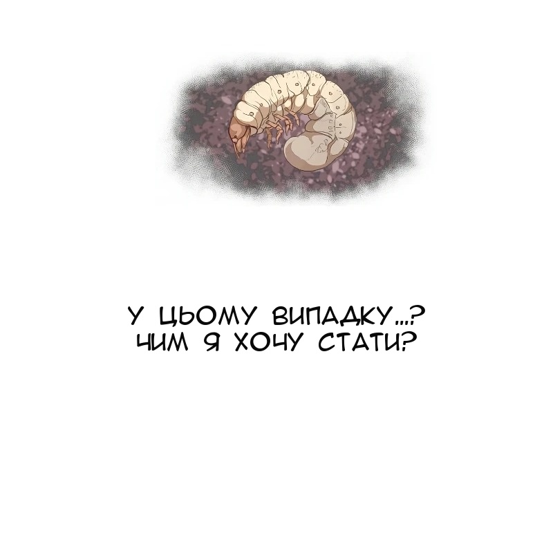 Сторінка 53