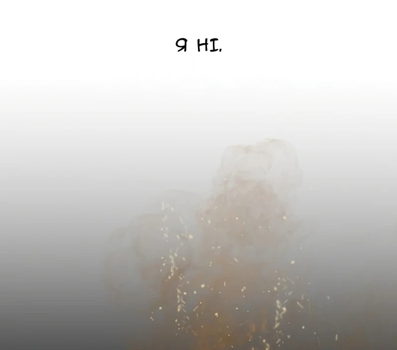 Сторінка 5