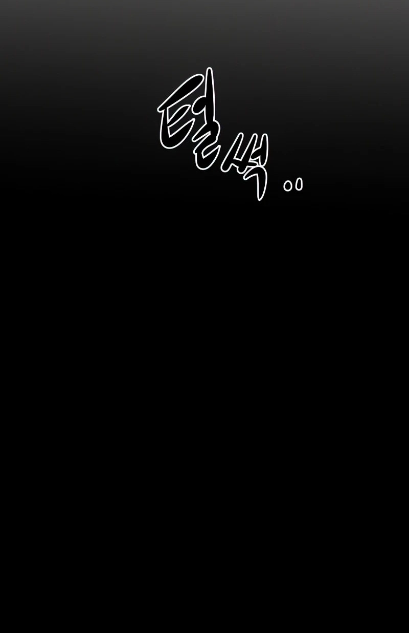 Сторінка 13