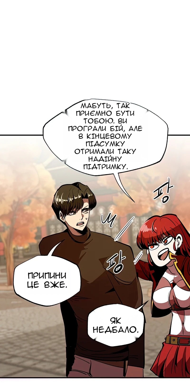 Сторінка 28