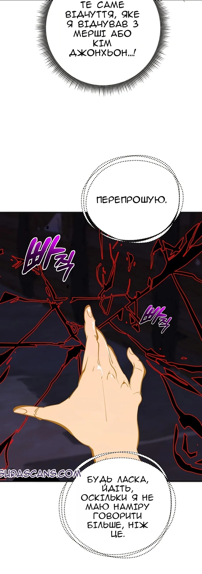 Сторінка 11