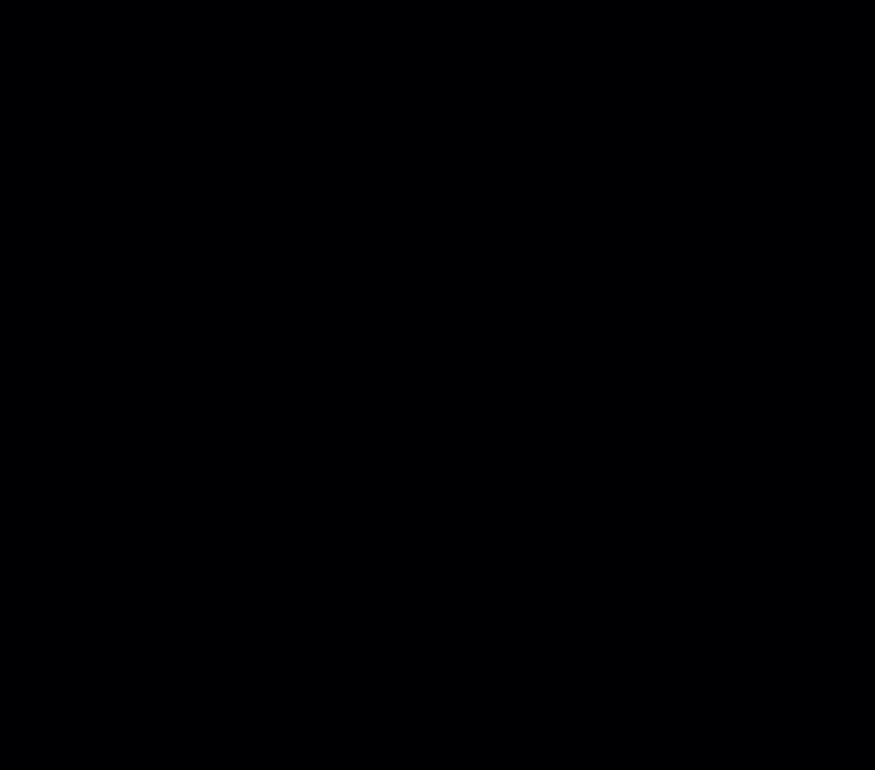Сторінка 37