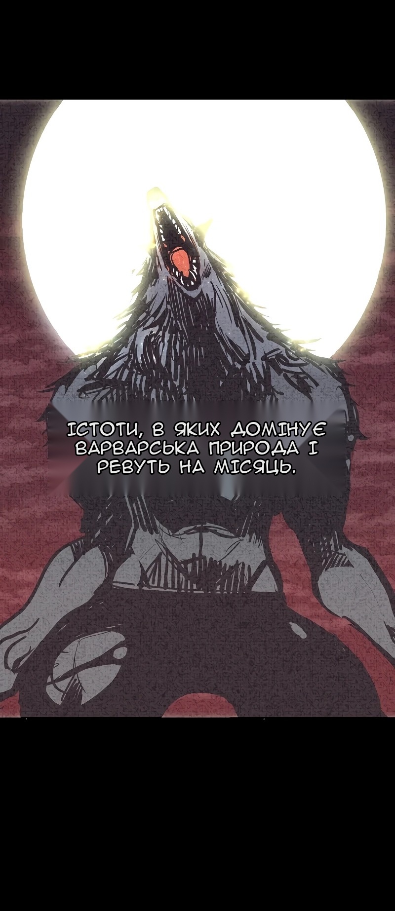 Сторінка 6