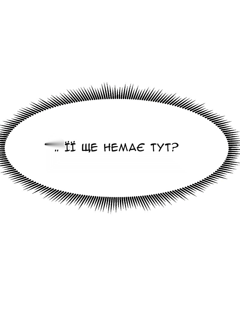 Сторінка 17