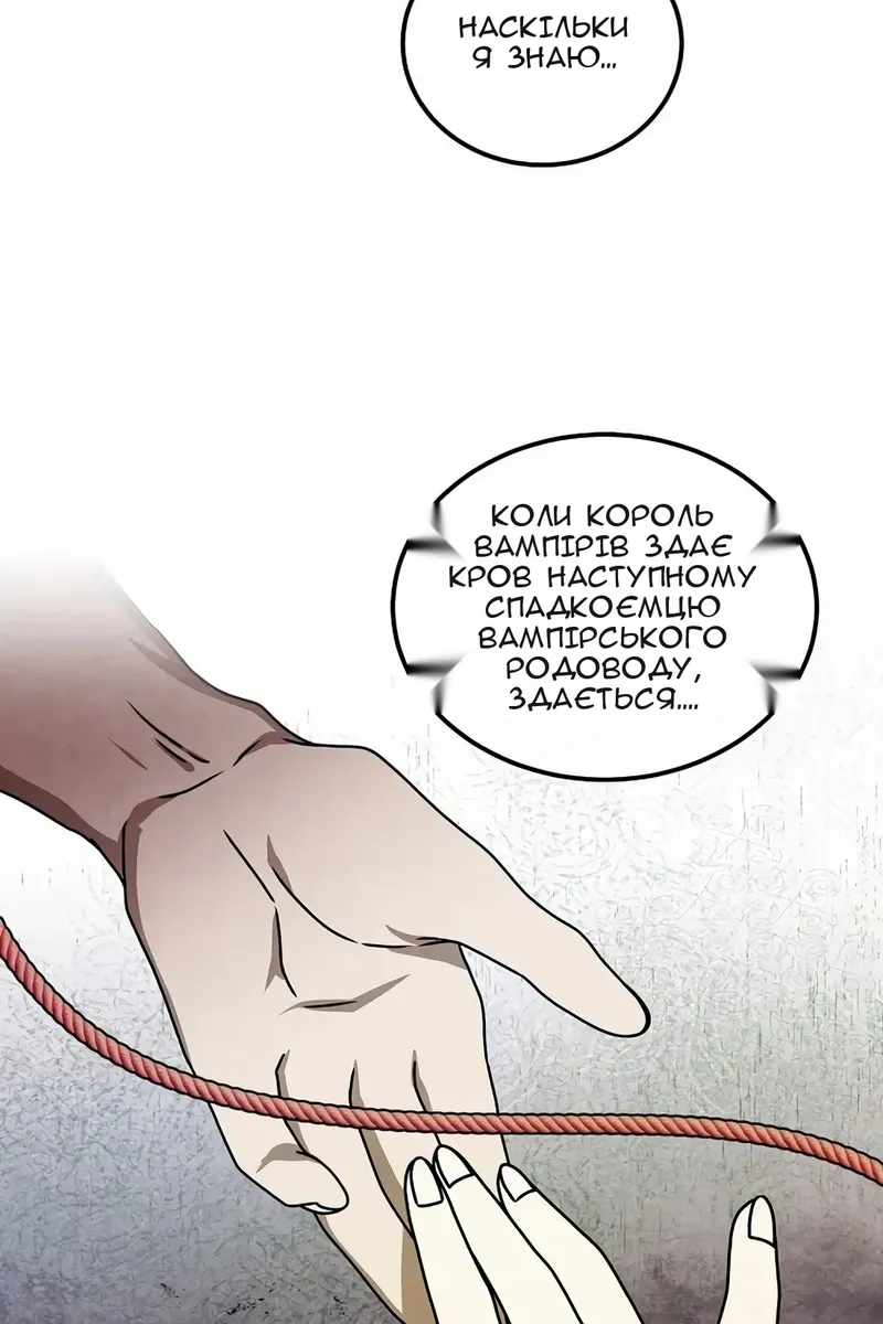 Сторінка 25